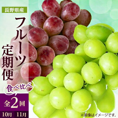 【ふるさと納税】【発送月固定定期便】2025年発送 長野の果物 シャインマスカット+クイーンルージュ全2回_ シャインマスカット クイーンルージュ ぶどう ブドウ 葡萄 マスカット 長野 定期便 全2回 果物 くだもの フルーツ 贈答 送料無料 【配送不可地域：離島】【4063521】