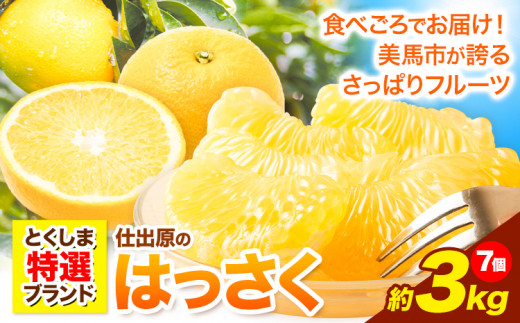 八朔 はっさく 約3kg 7個《2027年2月上旬‐3月上旬頃出荷》仕出原八朔生産組合 八朔 大玉 はっさく 果物 くだもの フルーツ 特選 ゼリー ジュース ピール 徳島県 美馬市 st-p