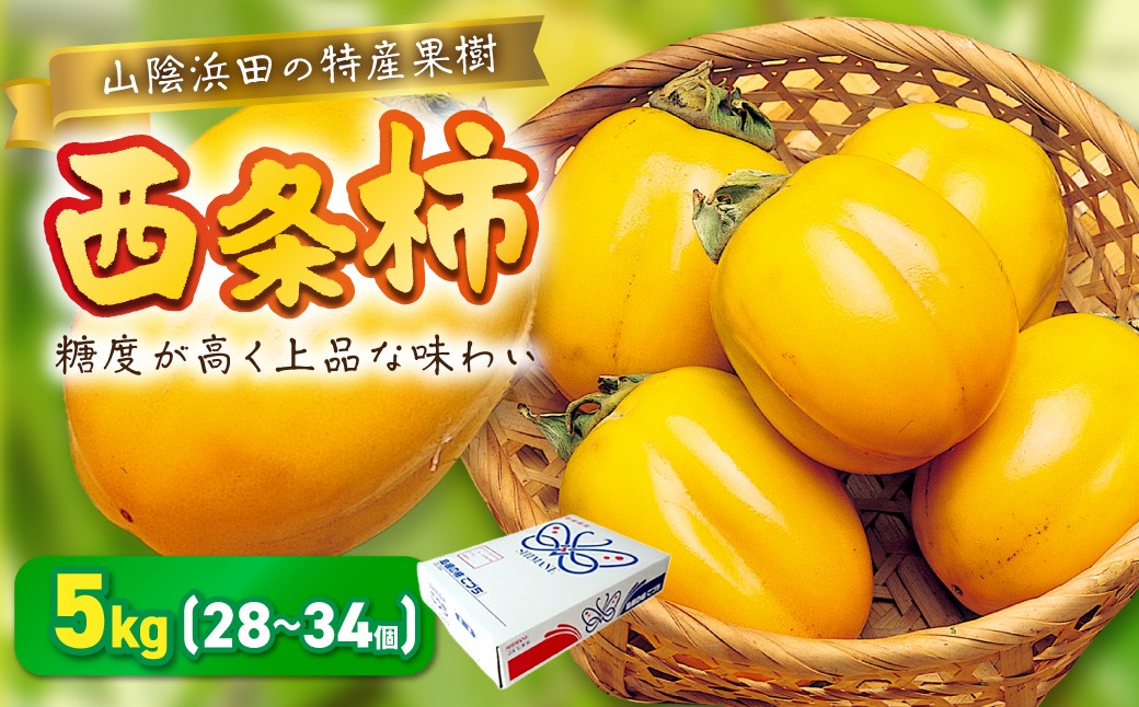 
                  【先行予約】山陰浜田の特産果樹「特選西条柿」（あわせ柿）5kg＜10月上旬より発送＞ 産地直送 ギフト 贈答 新鮮 フルーツ 果物 旬 秋の味覚 期間限定 数量限定 デザートくだもの【010_1938】
                