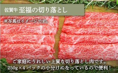ロールステーキ 4個＆佐賀牛 切り落とし 1000g(250g×4パック) / ステーキ 牛肉切り落とし [IAH132]