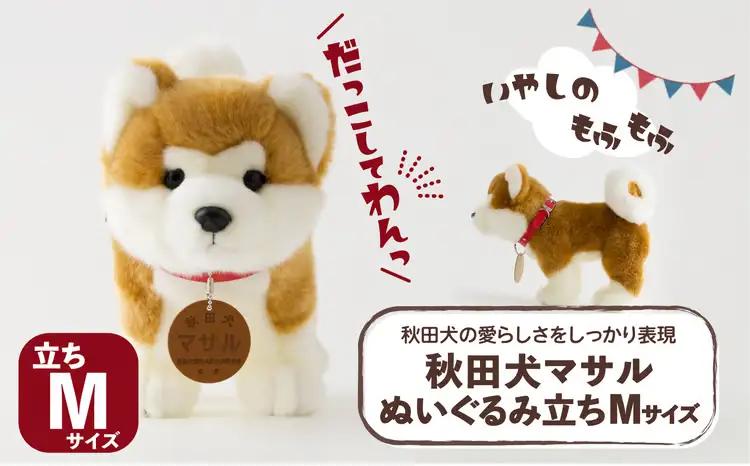 65P7303 秋田犬マサルぬいぐるみ　立ちＭサイズ【秋田犬保存会】