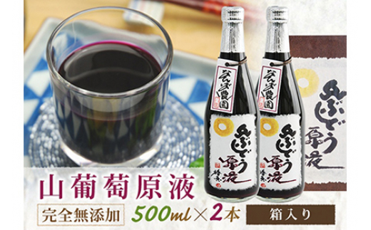 
             山ぶどう原液500ml×2本 化粧箱入り F2Y-4077
          
