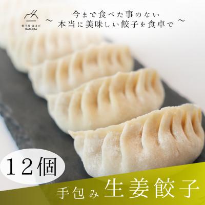 ふるさと納税 草津市 手包み生姜餃子　12個入り