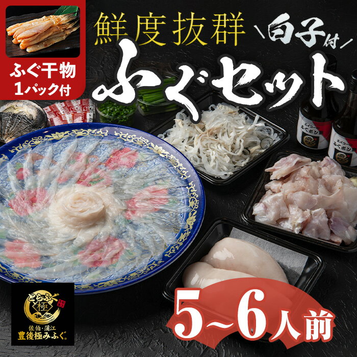 【ふるさと納税】＜着日指定必須＞【ふぐ干物1パック付】白子付き とらふぐ セット (5-6人前) 冷蔵 とらふぐ ふぐ ふぐ刺し ふぐ刺身 刺身 ふぐ鍋 白子 皮 ひれ 唐揚げ ヒレ酒 お取り寄せ 鮮魚 養殖 国産 数量限定 大分県 佐伯市【DK07-G】【エイコー水産】