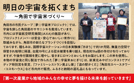 夢☆宇宙米おにぎり 3種類詰め合わせ（9食）【8月上旬より順次発送開始】