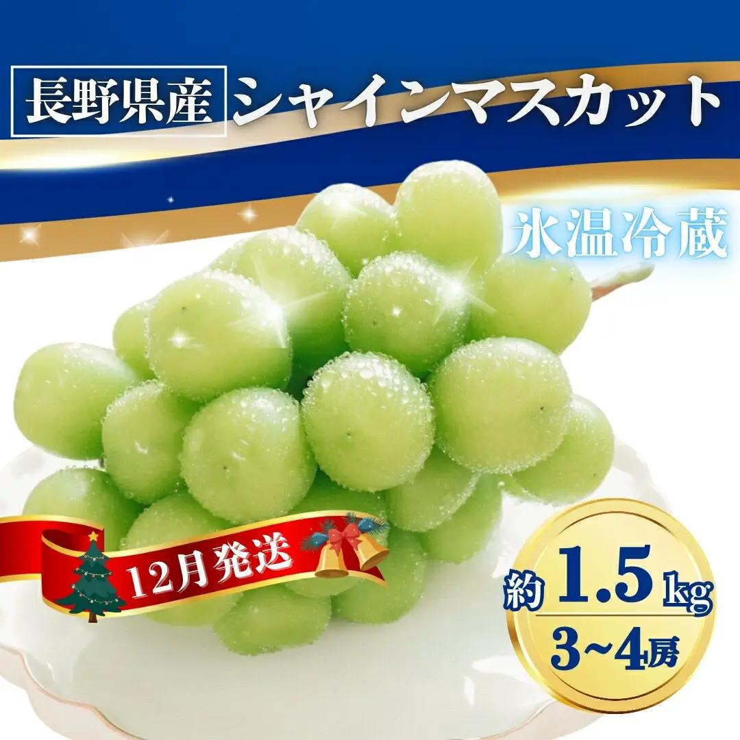 【2026年先行予約】氷温貯蔵シャインマスカット 約1.5kg(3~4房)|シャインマスカット