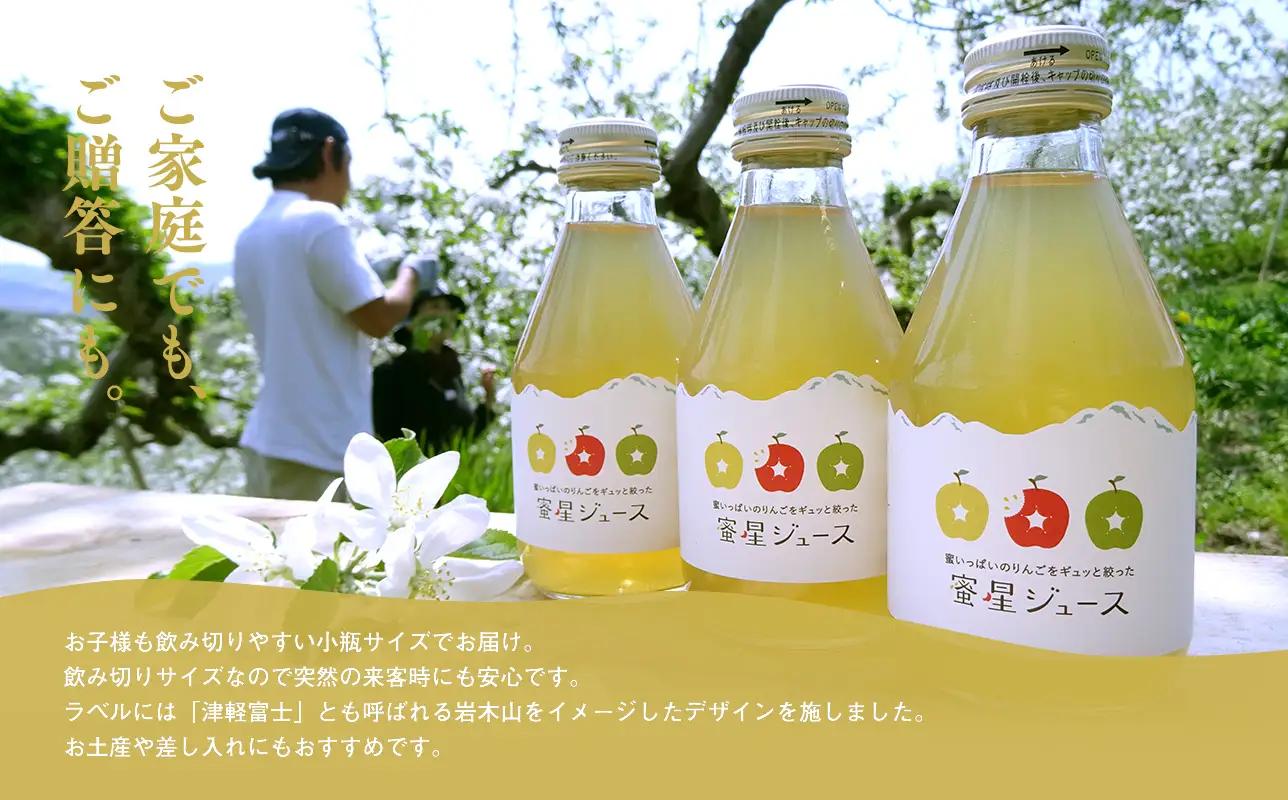  蜜星 りんごチップス 25g×3袋 りんごジュース 180ml×3本 セット りんご