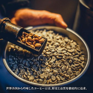 森彦 珈琲 ドリップバッグ 3種33枚 《 MORIHICO. 》 ハウスブレンド 森の雫 おいしいデカフェ 飲み比べ カフェインレス コーヒー