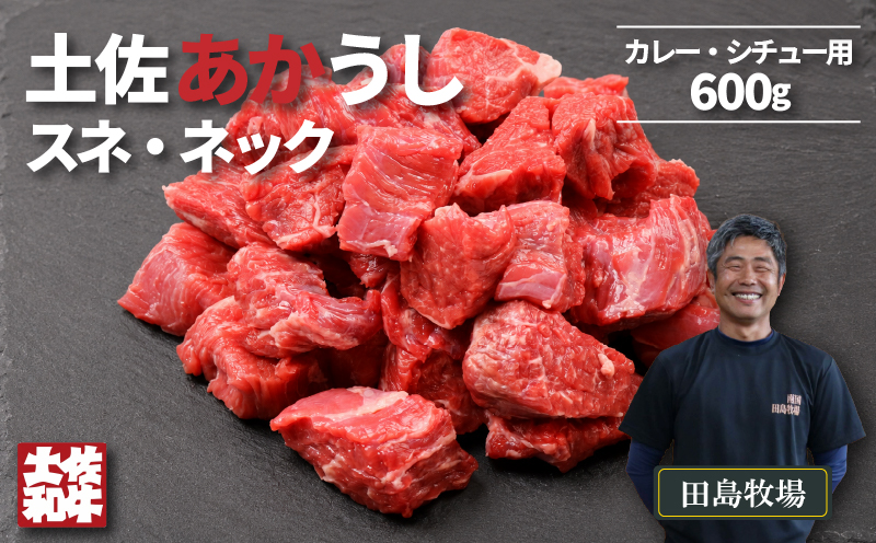 土佐 あかうし 赤牛 赤身 スネ・ネック サイコロカット カレー・シチュー用 600g | 和牛 あか牛 アカウシ 牛肉 希少 ブランド 国産 プレゼント ギフト 冷凍 贈答 高知県 南国市