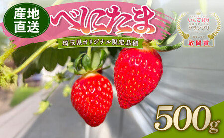 【予約】希少苺 べにたま 500g いちご 苺 いちご べにたま 埼玉県 羽生市