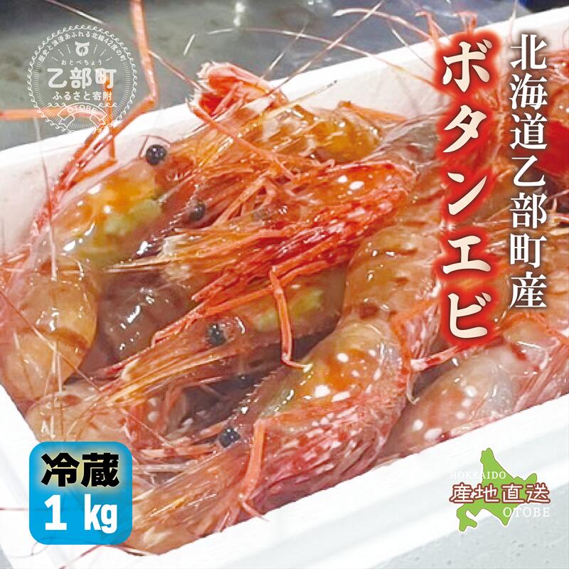 【ふるさと納税】＜ボタンエビ(冷蔵) 1kg＞甘く濃厚な味わい！ 北海道 道産 国産 乙部町産 ぼたんえび 牡丹海老 海老 日本海 天然 魚介類 新鮮 希少 お刺身 エビチリ 漁師直送 産地直送 送料無料