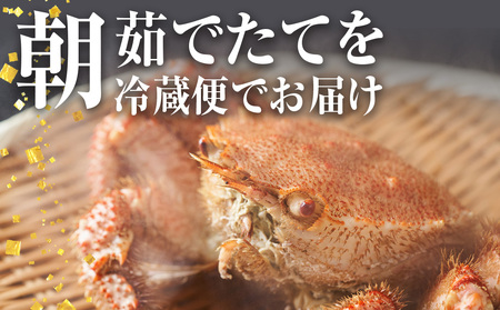 ボイル毛ガニ 500g ＜かに善＞