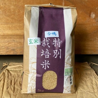 【ふるさと納税】特別栽培米「ミルキークイーン」玄米 10kg(5kg×2袋)【1725871】