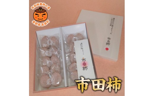 
                  【市田柿専門店 金の柿】白箱「秀品」Lサイズ2個包装×10袋入り ＜2027年1月発送開始＞ 長野県 信州 南信州 高森町 柿 干し柿 かき 高級 和菓子 お茶請け 個包装 贈答 プレゼント ギフト ドライフルーツ 自然食品 アグリスタくましろ
                