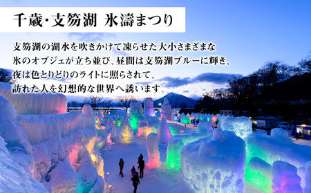 北海道 千歳市☆応援寄付金☆【返礼品なし】100,000円
