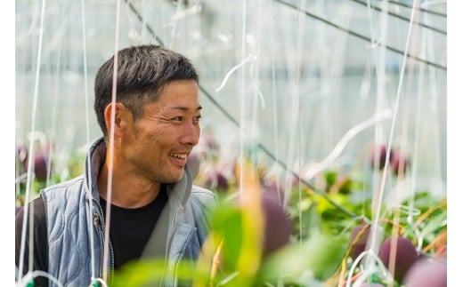 D-125 厳選！濃厚完熟マンゴー 4Lサイズ（糖度15度以上）【2024年5月中旬頃から6月初旬発送】