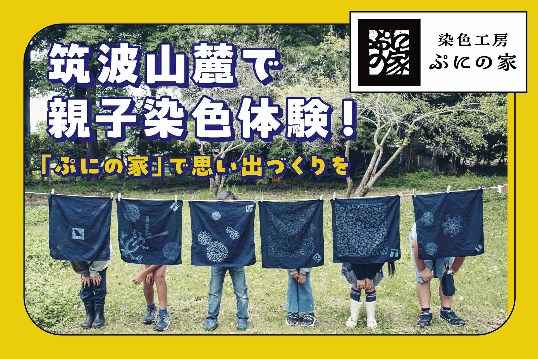 型染め体験 体験チケット 30,000円分【 ぷにの家 】【 茨城県 つくば市 体験 チケット 染物 藍染 草木染 型染め 自然 古民家 SDGs 染料 季節 四季 体験型 夏休み 春休み GW 子供