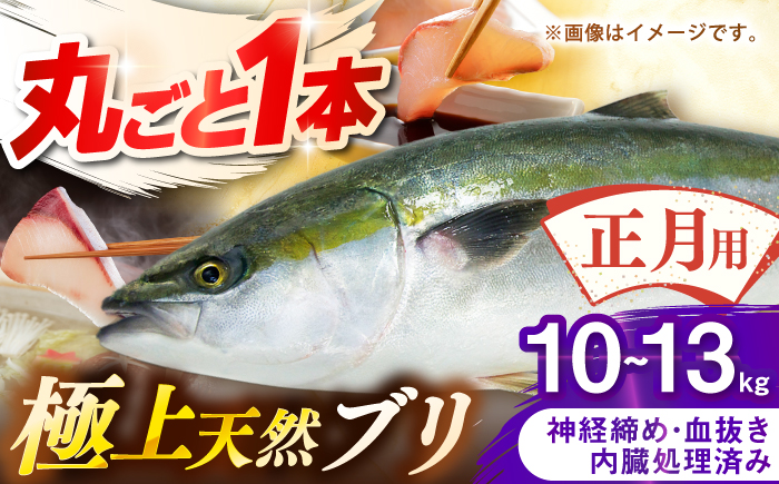 【正月用】　壱岐産　天然ブリ　丸ごと1本　10kg～13kg《壱岐市》 【みやげ処 縁由】 [JBJ027]