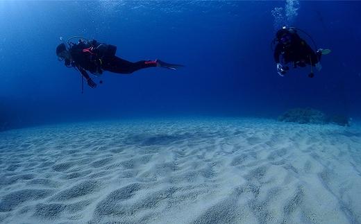 チケット ファンダイビング ｜ 中級3DIVE 1名様 万座近海【恩納村ラグーン】