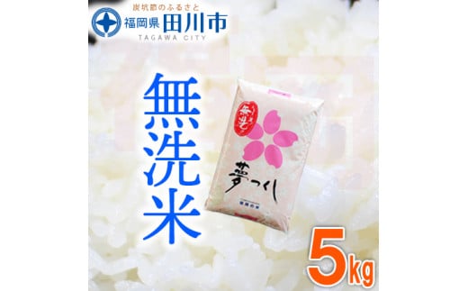 福岡県産夢つくし 無洗米 5kg お取り寄せグルメ お取り寄せ 福岡 お土産 九州 ご当地グルメ 福岡土産 取り寄せ グルメ 福岡県 食品