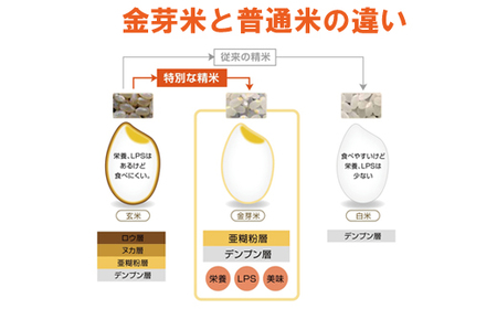 BG無洗米・金芽米つや姫 5kg  ［令和5年産］計量カップ無し