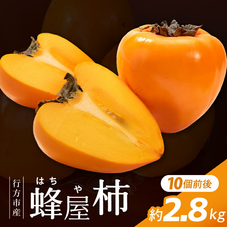 【ふるさと納税】【2026年11月より順次発送】行方市産 蜂屋柿 約2.8kg｜蜂屋柿 かき 柿 果物 フルーツ 先行予約 茨城県 行方市（CP-16）