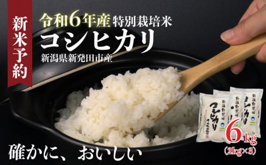 米 コシヒカリ 計6kg 2kg × 3袋 令和6年度 新潟県産 お米 白米 ご飯 玄米 おにぎり 弁当 個包装 小分け プレゼント ギフト 贈答 のし 新潟県 新発田市