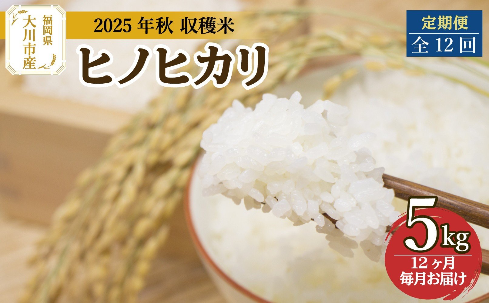 
            定期便 福岡県大川市産ヒノヒカリ（2025年秋収穫のお米）5kg×12回 定期コース（全12回のお届け） | 米 お米 こめ 白米 精米 60kg 60キロ 食品 ライス 令和7年 美味しい おいしい ご飯 ごはん 人気 おすすめ 送料無料 ふるさと納税 定期配送
          