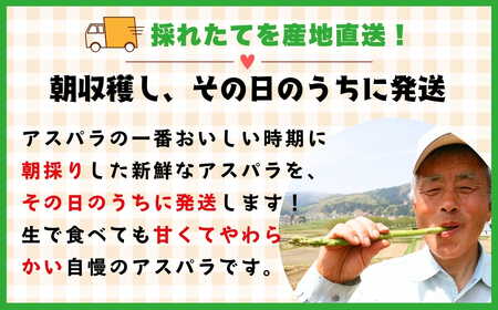 【2026年発送 先行予約】朝採り!露地栽培 アスパラガス L級サイズ 3kg 《 2026年5月発送 》(Bu-003) | 信州 飯山 アスパラ 春アスパラ 露地栽培 朝採れ