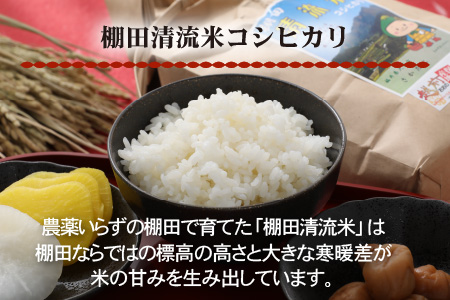 名水の里越前大野の「お米食べ比べセット」コシヒカリ・あきさかり・ミルキークイーン 各2kg×1袋