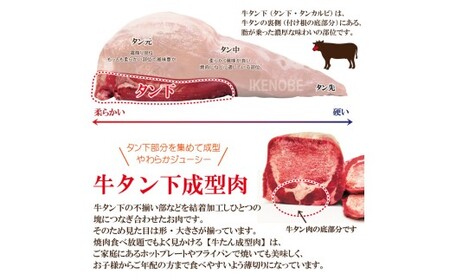 牛タン 肉汁ジューシー牛舌(下)カルビ成型肉焼肉用 計2kg(250g×8パック) 牛肉 【牛タン】【ho1661】