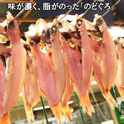 ふるさと納税 出雲市 特大 のどぐろ　一夜干し2尾×2箱セット【6-008】 |  | 01