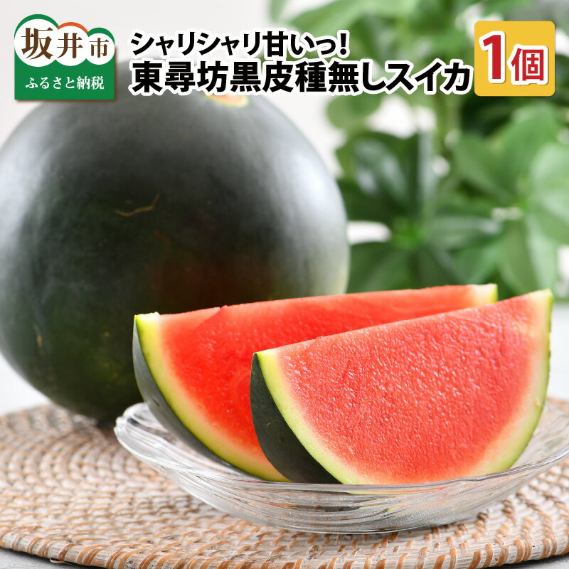 【ふるさと納税】 スイカ シャリシャリ甘いっ！ 甘い東尋坊黒皮種無しスイカ 6〜10kg × 1玉 【スイカ 西瓜 フルーツ 果物 国産 産地直送 内祝い お祝い お中元 夏ギフト】
