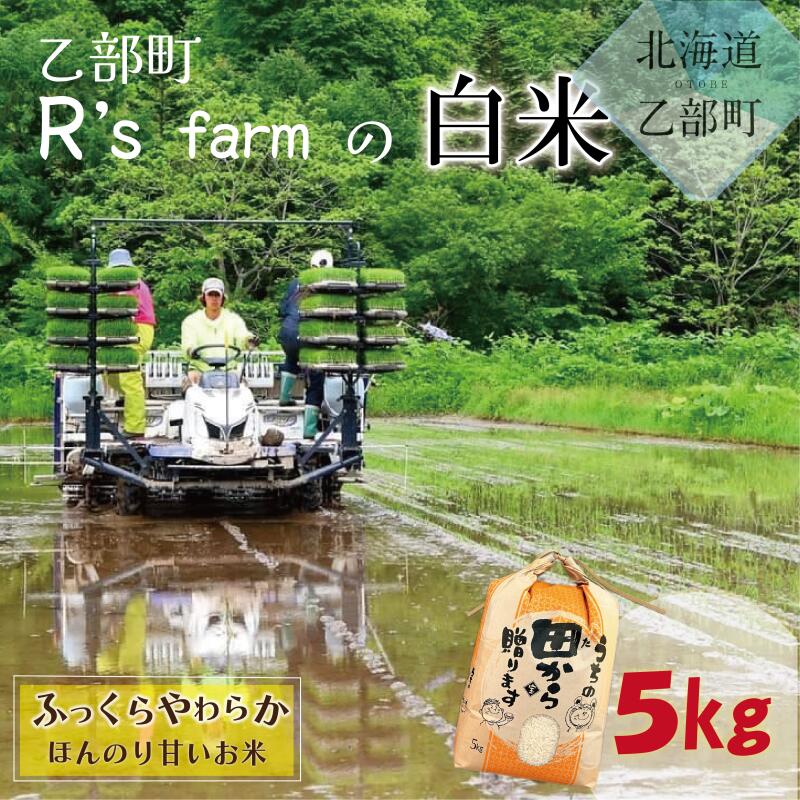 【ふるさと納税】＜北海道の米(5kg)～ふっくらつややか！若手農家が作る米＞ 5kg 北海道 乙部町 甘い 米 おにぎり 北海道産 お米 北海道米