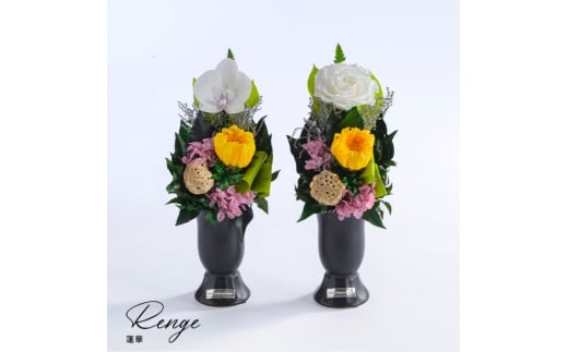 蓮華 (れんげ) 花 お花 プリザーブドフラワー ギフト プレゼント お祝い 誕生日 お供え アレンジ インテリア 東京都 墨田区【輪菊/単品】 [№5619-6312]