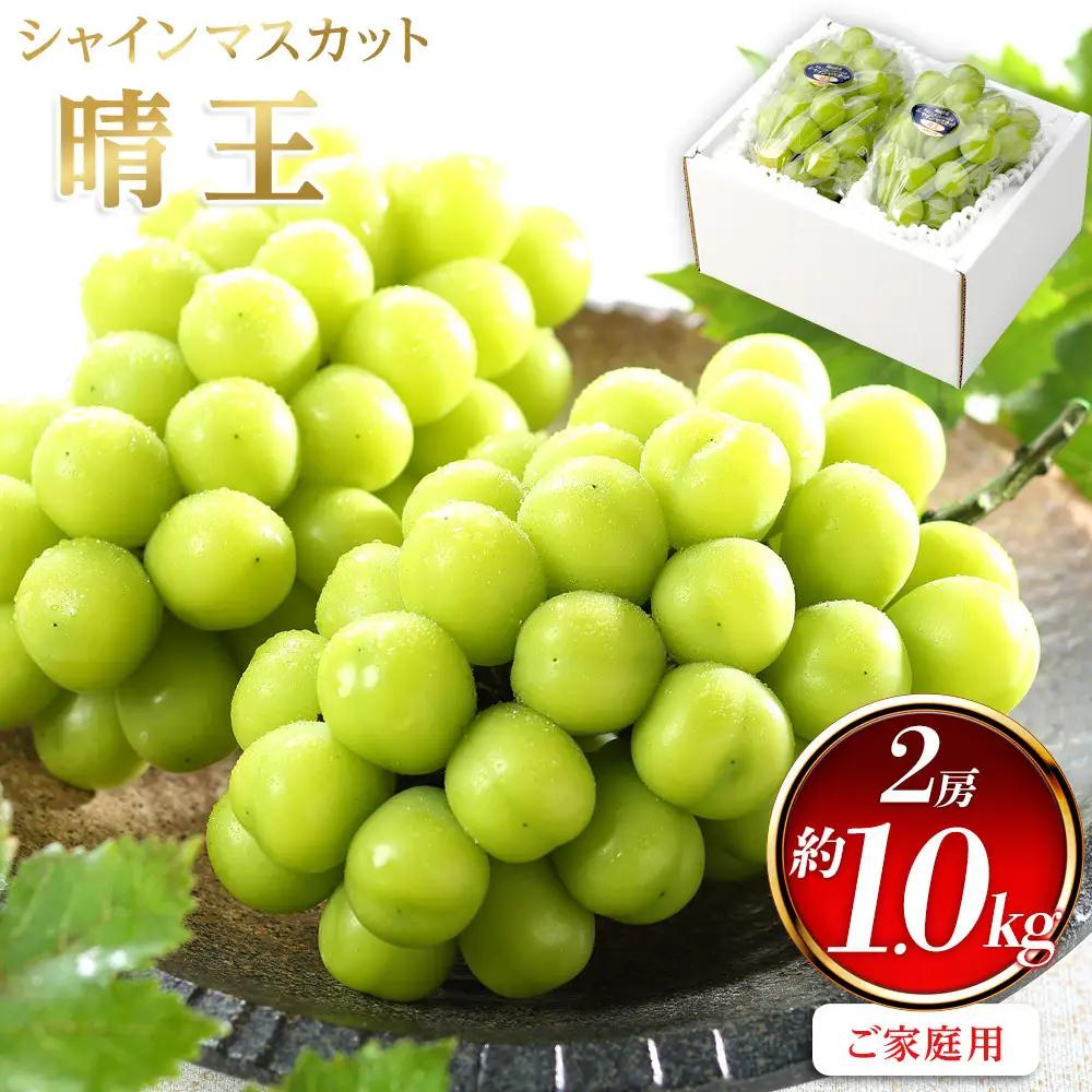 ぶどう 2026年  ご家庭用 シャインマスカット 晴王 約500g×2房 葡萄  岡山県産 国産 フルーツ 果物 | シャインマスカット