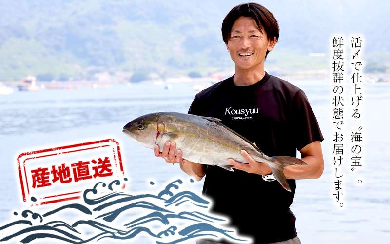 D4-7701／康秀の勘八 ロイン 4柵 ＋ カマ 2個（計約1.8kg）冷蔵