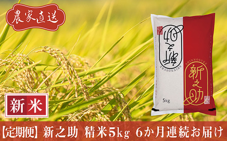 J8-7S056【6ヶ月連続お届け】新潟県長岡産　新之助　5kg