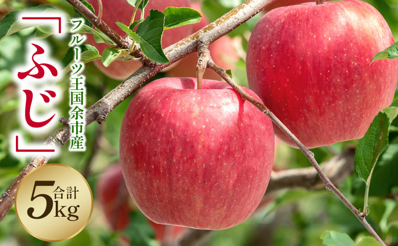
            【2025年11月下旬より発送】フルーツ王国余市産「ふじ」5kg【ニトリ観光果樹園】
          