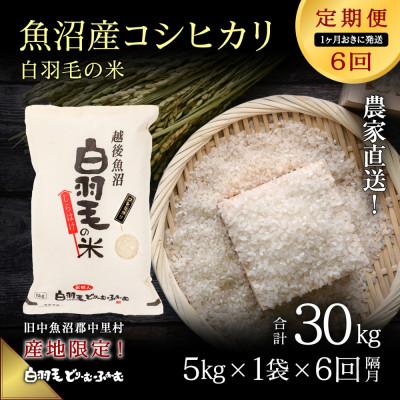ふるさと納税 十日町市 【2ヵ月毎定期便】農家直送!魚沼産コシヒカリ 精米(5kg×1袋)全6回