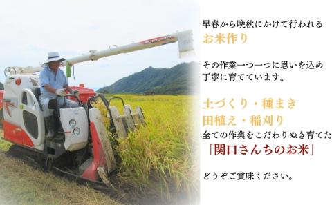 米 定期便 6ヶ月 関口さんちのお米 コシヒカリ 10kg お米 こめ コメ 精米 白米 ご飯 こしひかり 長野 信州 6回 半年 お楽しみ