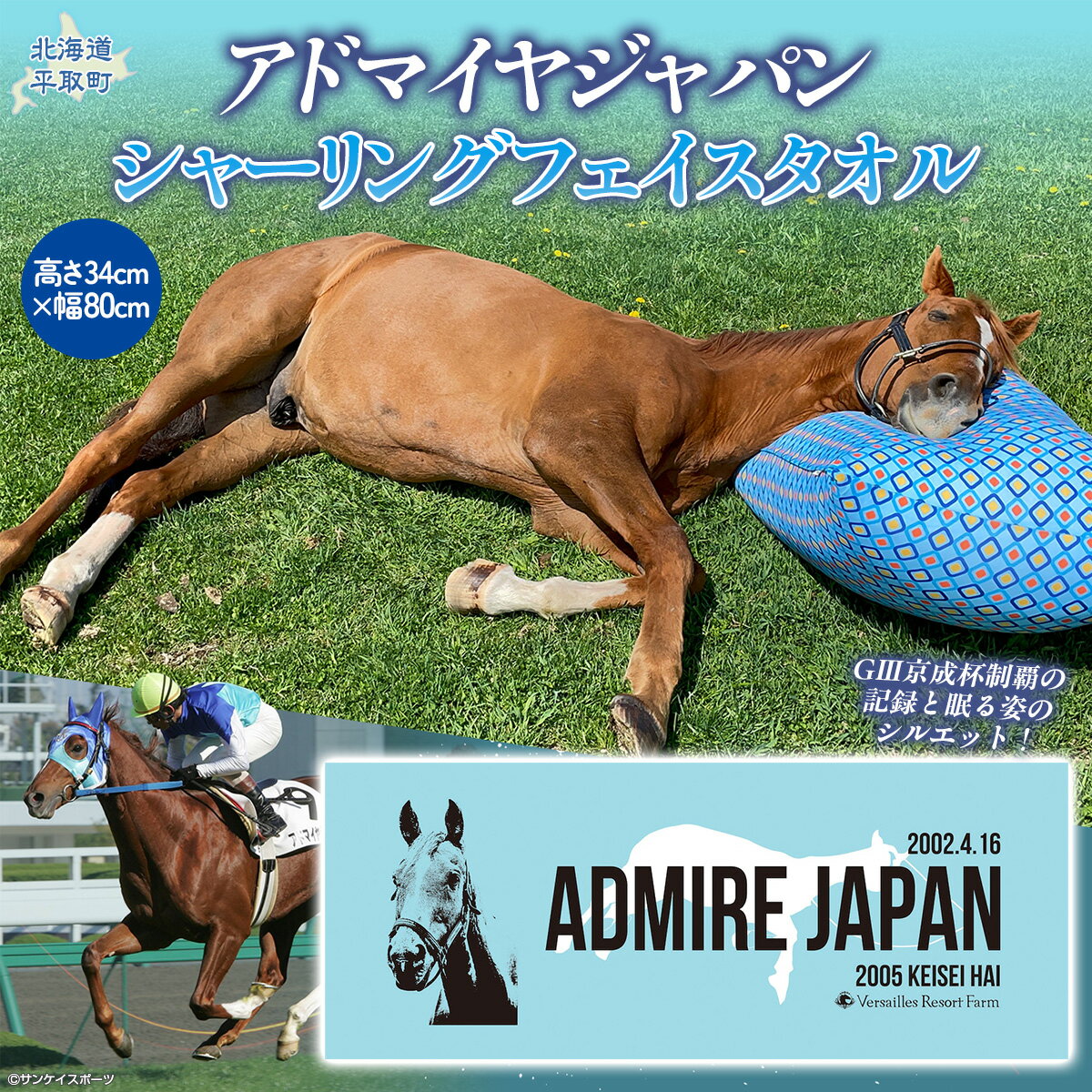 【ふるさと納税】【アドマイヤジャパン×Yogibo】シャーリングフェイスタオル【ふるさと納税 人気 おすすめ ランキング 馬 競馬 競走馬 引退馬 アドマイヤジャパン 日高 北海道 平取町 送料無料】 BRTV040