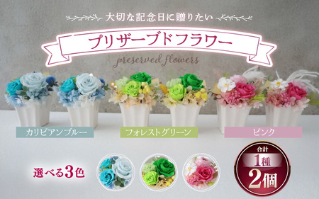 プリザーブドフラワー【ピンク】 2個セット ＜大切な記念日に ペアで飾って＞ ／ インテリア ウェディング 結婚祝 結婚記念日 誕生日 お祝い ギフト プレゼント ブリザーブド フラワー 花 アレンジメント あわら [aw047-c001_01]