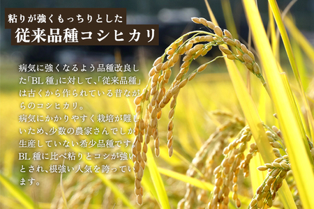 【令和7年産新米先行予約】【定期便6ヶ月毎月お届け】新潟県産 コシヒカリ（従来品種）玄米3kg（3kg×1袋）《10月上旬から順次発送》 玄米 白米 きのこ農家ならではの有機質肥料 お米 新潟産 コシ