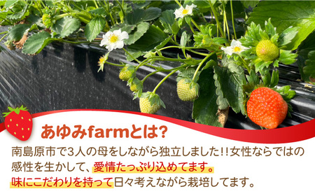いちご【2027年1月?発送】 260g×4P 恋みのりいちご [SFF001]