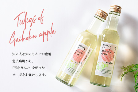 芸北りんご便り（りんごソーダ） 6本セット_HA095_004