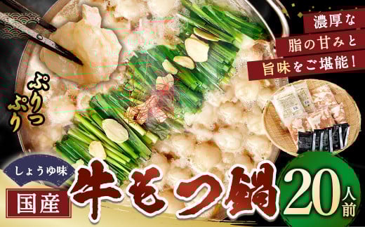 【12月発送】 国産牛もつ鍋 20人前 ちゃんぽん 濃縮スープ付（醤油味） 黒毛和牛 国産牛 牛もつ ホルモン 冷凍 岡垣町