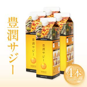 豊潤サジー 1000ml×4本セット サジージュース【紙パックタイプ】 鉄分 果実 飲料