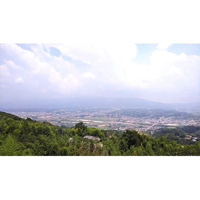 国城観光農園の富有柿9個入り(3Lサイズ)【配送不可地域：北海道・沖縄県】