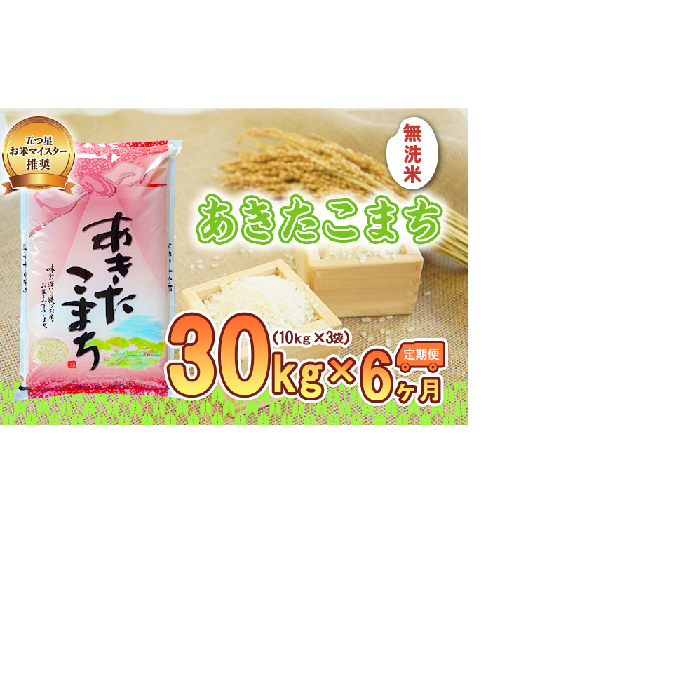 米 定期便 6ヶ月 あきたこまち 無洗米 30kg(5kg×6) お米 精米 白米 こめ コメ おこめ ごはん お米マイスター 推奨 ブランド米 常温 国産 岩手県 岩手 盛岡市産 定期 お楽しみ 6回